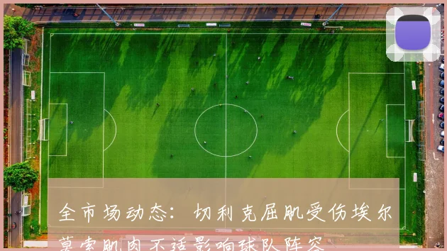 全市场动态：切利克屈肌受伤埃尔莫索肌肉不适影响球队阵容