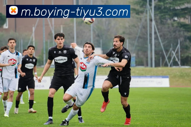 博盈体育平台生态图